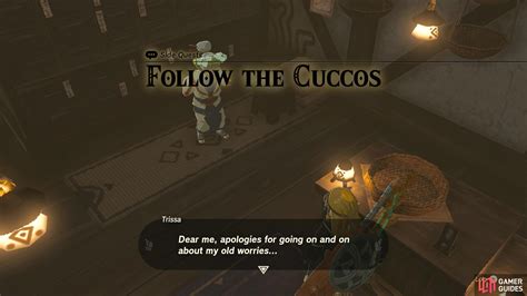 Follow the Cuccos Side Quest Guide in Zelda Tears of .